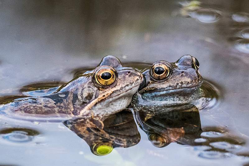 Do You Want to Know a Secret-.jpg